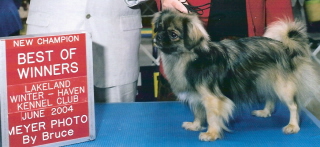 eae67596_40070.jpg