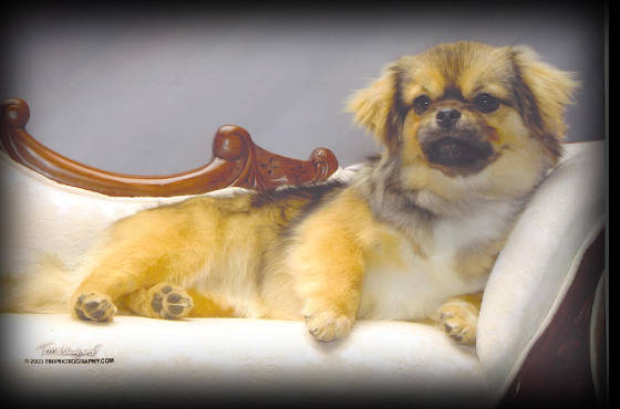lounging_jpg_w560h370.jpg